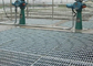 পাকানো বার স্টেইনলেস স্টীল তল ঘর্ষণ, ISO9001 শিল্পকৌশল তল grates সরবরাহকারী